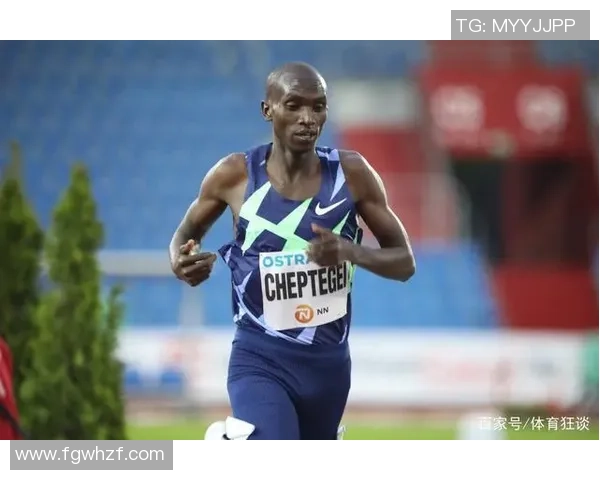 杭州篮球队在钻石联赛中的灵活性展现与战术调整分析